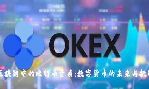 区块链中的比特币资质：数字货币的未来与挑战