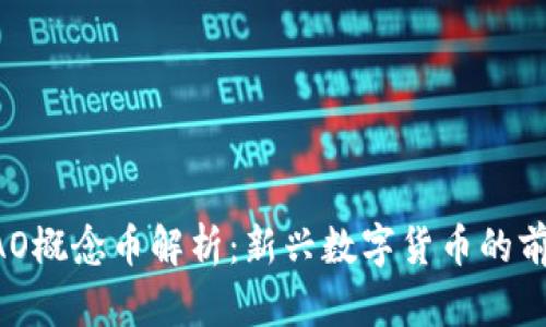 区块链DAO概念币解析：新兴数字货币的前景与挑战