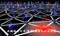 : 区块链爱思币：分析、应用及未来前景