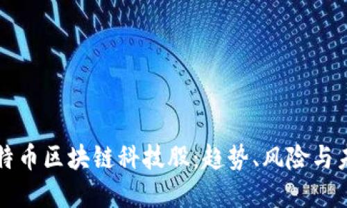 投资比特币区块链科技股：趋势、风险与未来展望