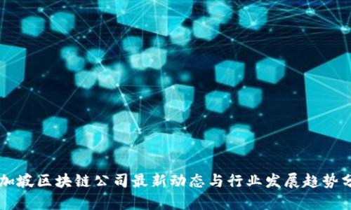 新加坡区块链公司最新动态与行业发展趋势分析