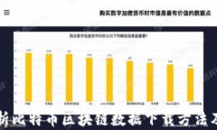 全面解析比特币区块链数据下载方法及其应用