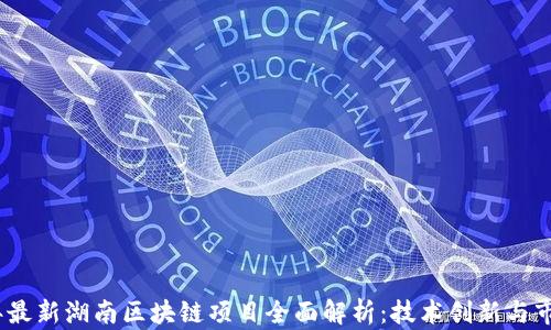 
2023年最新湖南区块链项目全面解析：技术创新与市场趋势