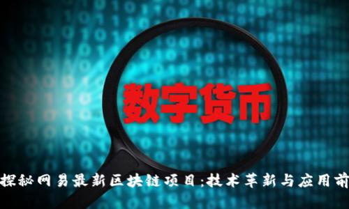 : 探秘网易最新区块链项目：技术革新与应用前景