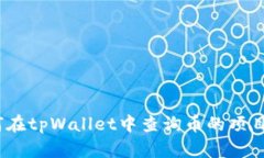 : 如何在tpWallet中查询币的