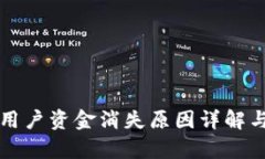 tpWallet用户资金消失原因详解与解决方案