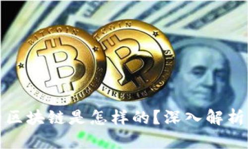 派币真正的区块链是怎样的？深入解析与应用前景