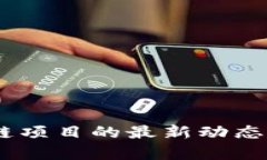 探索Aeternity区块链项目的最新动态：技术创新与