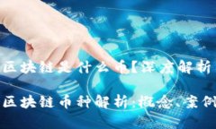 分布式存储区块链是什么币？深度解析与应用前