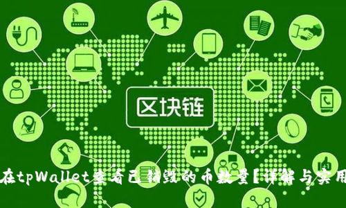 如何在tpWallet查看已销毁的币数量？详解与实用指南