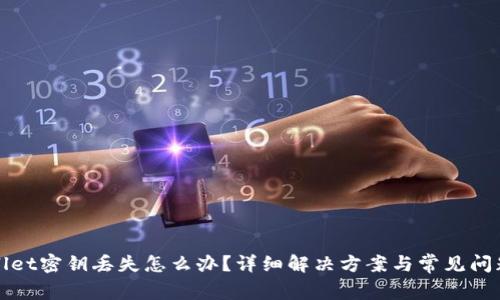 tpWallet密钥丢失怎么办？详细解决方案与常见问题解答