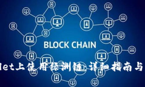 如何在tpWallet上使用绿洲链：详细指南与常见问题解答