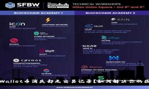tpWallet币消失却无交易记录？如何解决你的困惑