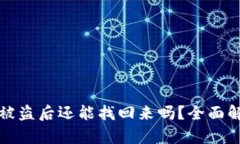 tpWallet资产被盗后还能找回来吗？全面解析和应对