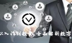 区块链币圈揭秘：从入门到投资，全面解析数字