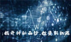 区块链妖币：揭开神秘面纱，投资新机遇与风险