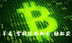 最新区块链羊毛：掌握这些机会，轻松获得丰厚